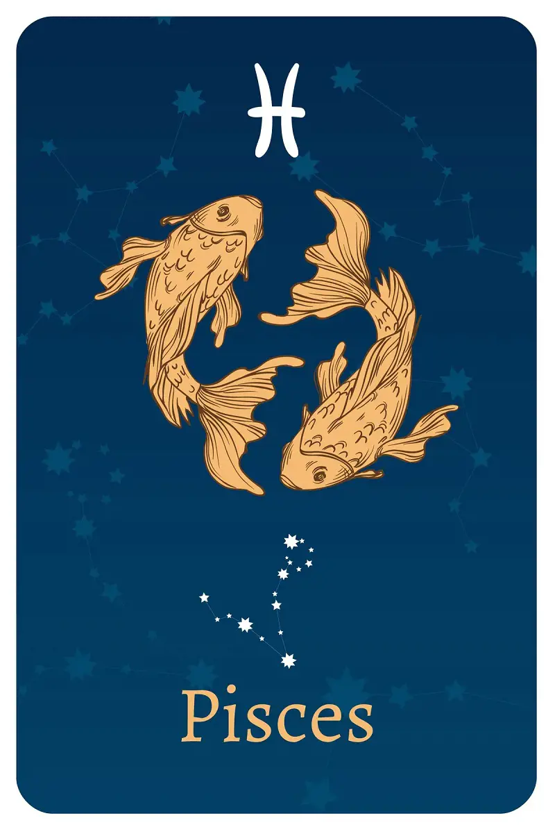 The 12th astrological sign, Pisces, is an imaginative, very thoughtful, and warm-hearted person 