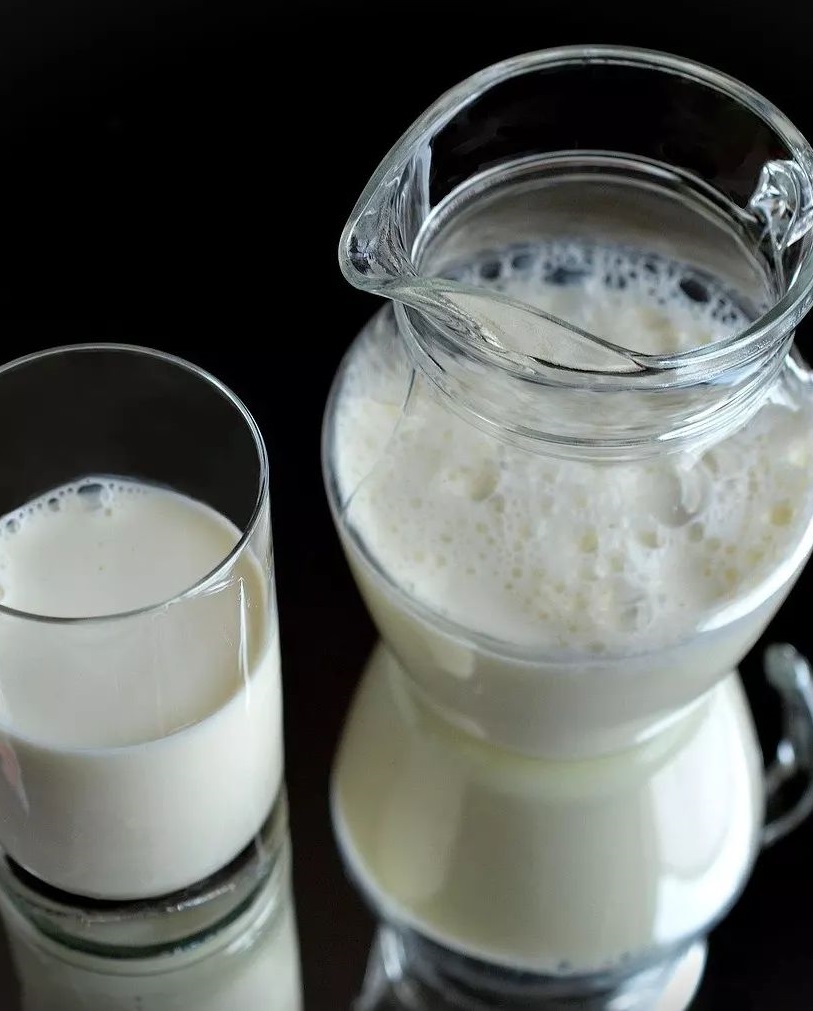 Raw milk and milk products should not be given to your children as they could cause serious health risks