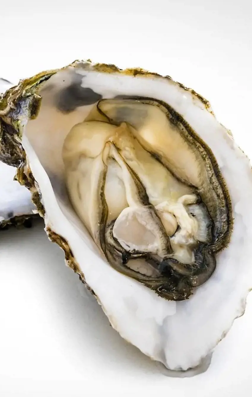 Shellfish like clams, oysters, and mussels are packed with protein, iron, and omega-3 fatty acids, but eating them raw may effect child health