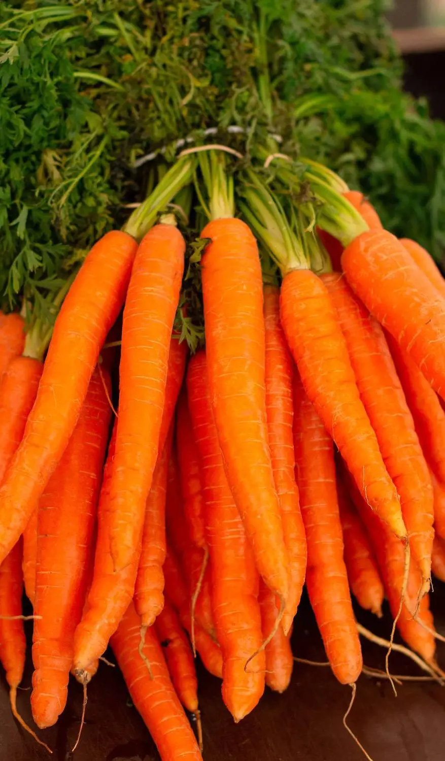 Raw vegetables like carrots present a choking risk, so cook the vegetable before serving kids 